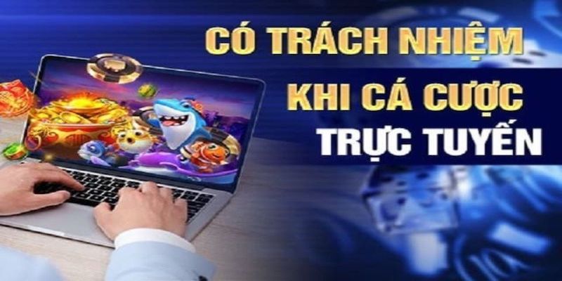 Nội dung của quy định trách nhiệm người dùng S666